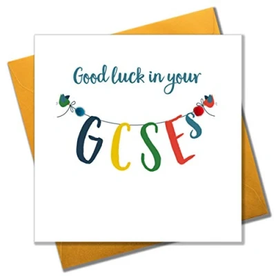 Image of Pom &quot;Good Luck in Your GCSES&quot; Greeting Card