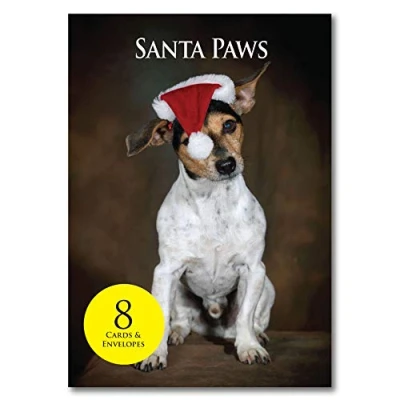 Image of Jack Russell Christmas Cards. Bulk pack of 8 dog Xmas cards with envelopes by Charles Sainsbury Plaice.