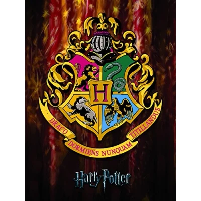 Image of Pyramid International Hogwarts Crest Canvas Print, Cotton, 60 x 80 cm