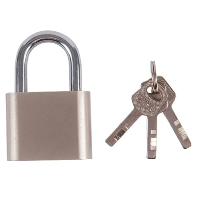 Image of Nickel 5cm Iron Padlock By Blackspur