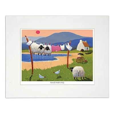 Image of &#039;Hand Wash Only&#039; Mounted Print by Thomas Joseph Sheep Art