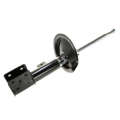Image of 00005202WJ, 00005202WK, 00005202WL, 00005202WN, 5202CY Shock absorber Magnum Technology AGP107MT PEUGEOT: 306 Hatchback, 206 SW, 307 Hatchback