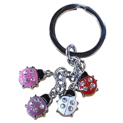 Image of Fat catz copy Multi Coloured Ladybird Ladybug Insect Keyring Handbag Charm
