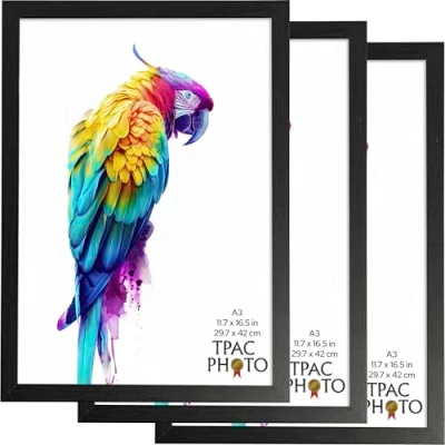 Image of The Photo Album Co WEXFORD A3 (29.7x42cm) Black Poster Frame Acrylic (Non Glass) Front Pack of 3