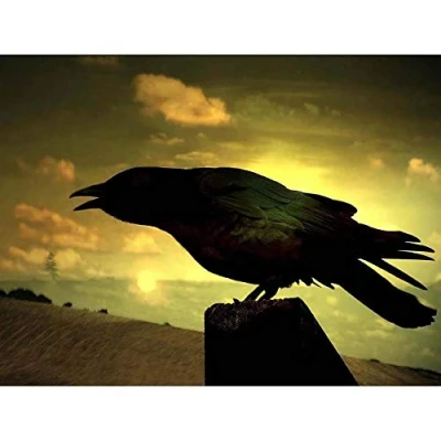 Image of Wee Blue Coo Nature Raven Silhouette Black Bird Art Print Poster Wall Decor 12X16 Inch