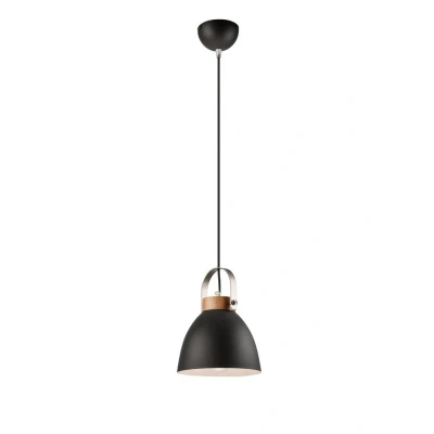 Image of Danielle Steel Dome Pendant Ceiling Lights Graphite, 1x E27