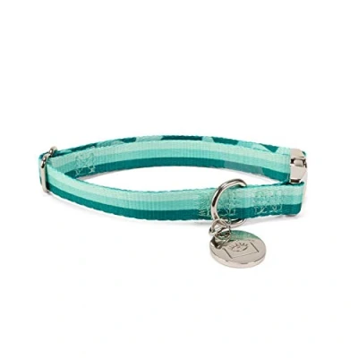 Image of Now House for Pets by Jonathan Adler: Green &quot;Chroma&quot; Collar Small, chromatic