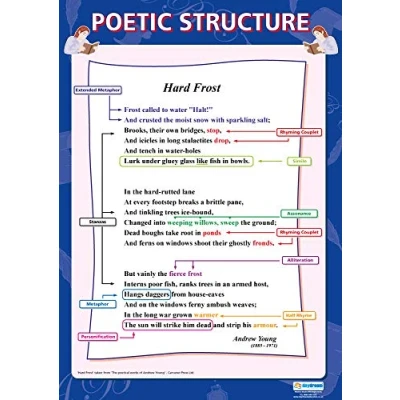 Image of Poetic Structure English Literature Posters Gloss Paper measuring 850mm x 594mm (A1) Lit Classroom Education Charts by Daydream