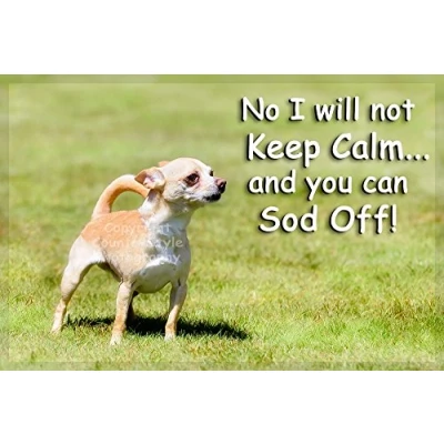 Image of Chihuahua Dog Fridge Magnet perfect Christmas or Birthday Keep Calm Gift