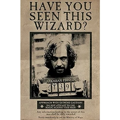 Image of Pyramid International Wanted Sirius Black Maxi Poster, Wood, Multi Colour, 61 x 91.5 cm
