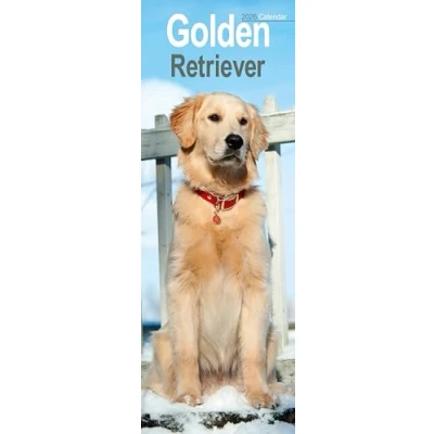 Image of Golden Retriever Slim Calendar 2026