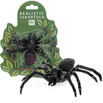 Image of Realistic Tarantula Toy
