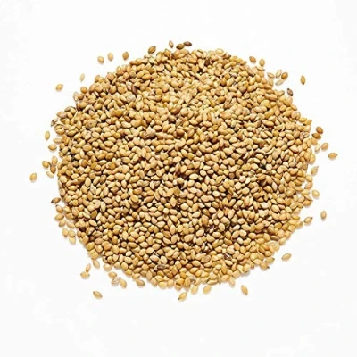 Image of Copdock Mill Panicum Millet 20kg