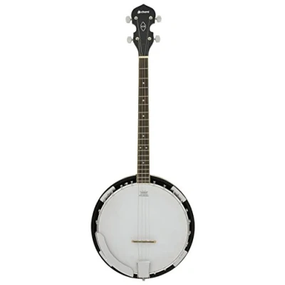 Image of chord BJ 4T Series Banjos
