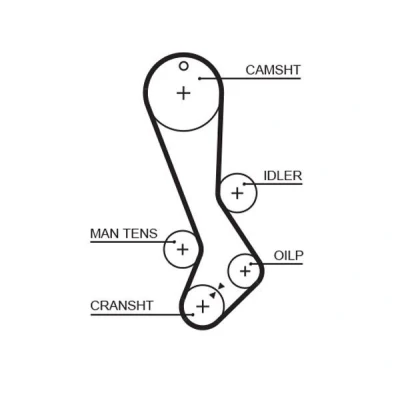 Image of 1356870080, 1356870100, 1356879085 Timing Belt GATES FleetRunner Micro V Stretch Fit 5282XS 129 1032mm 27mm LEXUS: IS I Saloon