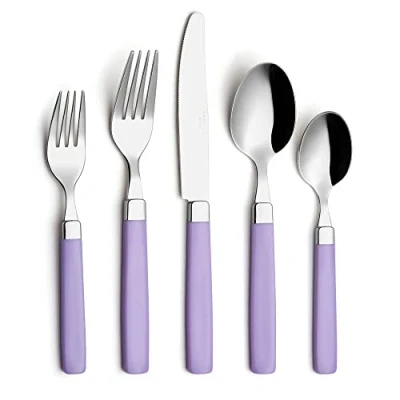 Image of ANNOVA 20 Pieces Stainless Steel Flatware/Cutlery Set Color Handles 4 x Dinner Forks, Salad Table Knives, Tablespoons, Teaspoons Service for (Lilac, Pieces)