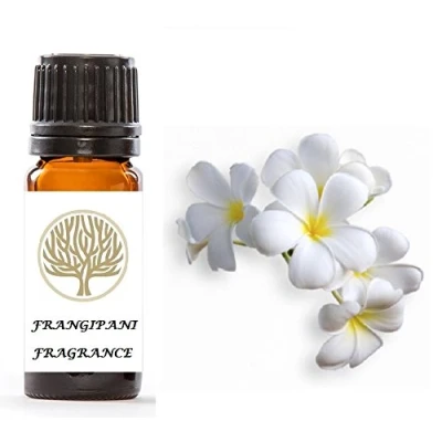 Image of EkoFace Frangipani Fragrance Oil 10ml for Candle making, Burner, Potpourri &amp; Bath
