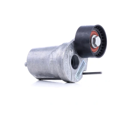 Image of 11287800334, 7800334 Tensioner Lever, v ribbed belt INA 534 0402 10 55mm 29mm BMW: X5, 5 Saloon, Saloon