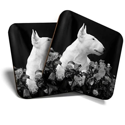 Image of 2 x Square Coasters English Bull Terrier Puppy Dog Cork Backed Home Kitchen Accessory Tea Coffee Mug Mat #42841