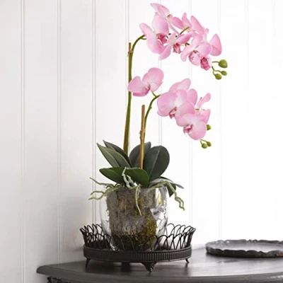 Image of BLOOM Artificial Pink Double Phalaenopsis Plant 60cm Fake Orchid Flower Arrangement, Faux Silk Flowers That Look Real, Perfect for Mothers Day, Foliage, Home Decor, Vase Included