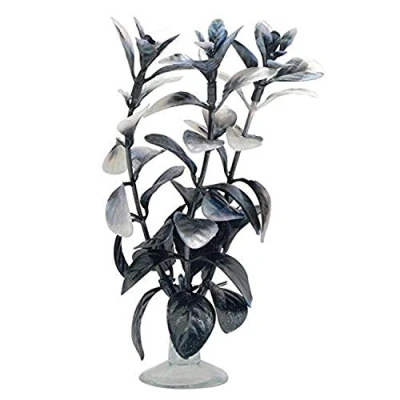Image of Marina Betta Ludwigia Plant with Suction Cup, 12.7 cm, Red/Black