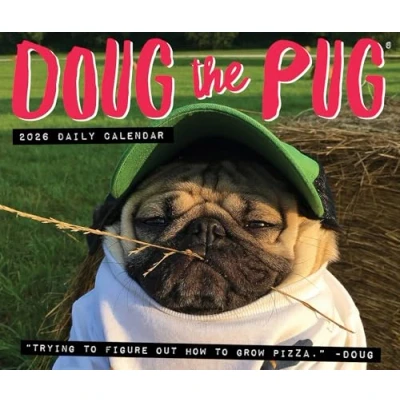Image of Doug The Pug Desk Calendar 2026
