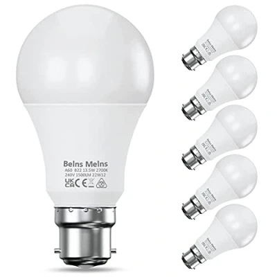 Image of B22 LED Bulbs Bayonet 100W Equivalent, 2700K Warm White Light Bulb, 13.5W 1500lm Super Bright BC GLS Energy Saving Pack of 6