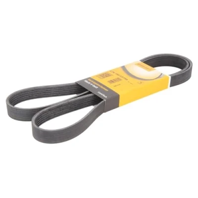 Image of 1761929, CM5Q6C301BA V ribbed belt CONTITECH 6PK1502 EXTRA 1502mm 6 FORD: FIESTA 7, 6, FOCUS 3
