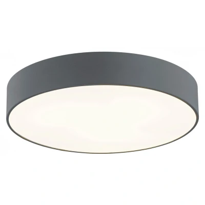 Image of Darling 25cm Flush Ceiling 2 Light Dark Grey Structure