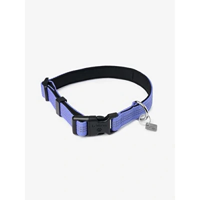 Image of LeMieux Henley Webbing Dog Collar in Bluebell Outdoor Pet Everyday Walking Neckband Super Adjustable for Flexible Fit with Reflective Trim Large