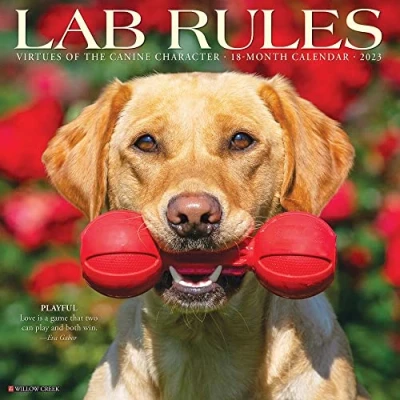 Image of Lab Rules 2023 Wall Calendar