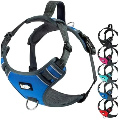 Image of Black Rhino Comfort Dog Harness with Mesh Padded Vest for Small Large Breeds Adjustable, Reflective 2 Leash Attachments on Chest &amp; Back Neoprene Training Handle Large, Blue Green