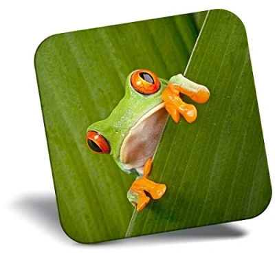 Image of Destination Vinyl ltd Fridge Magnet Green Frog Nature Frogs 3682