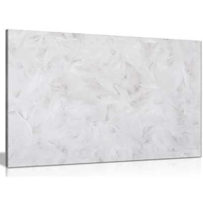 Image of White Wall Art Abstract Feather Print Canvas Picture (24x16in)