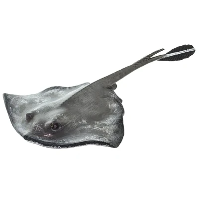 Image of Sting Ray Incredible Creatures Safari Ltd 100507
