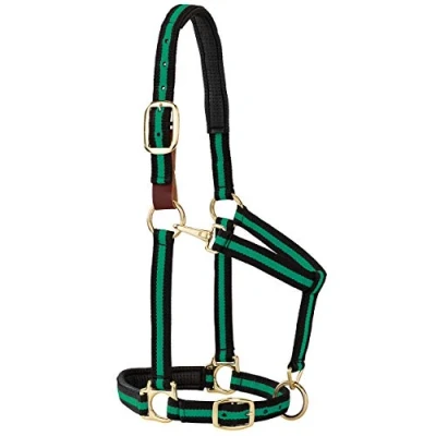 Image of Weaver Leather Padded Breakaway Adjustable Chin and Throat Snap Halter, 1&quot; Average Horse or Yearling Draft, Green Striped