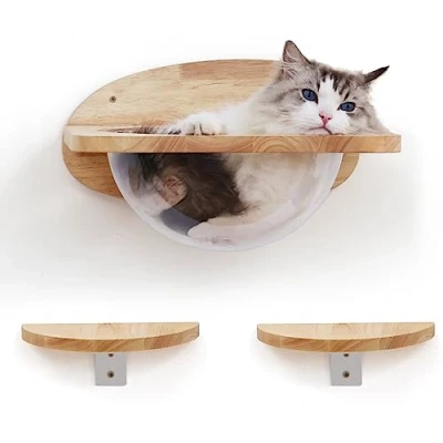 Image of FUKUMARU Cat Wall Furniture Set, Rubber Wood, Transparent Capsule Shelves with 2 PCS Pedals Premium Kitty Bed for Sleeping, Playing, Climbing, and Lounging Easily Holds Up to 16 Kg