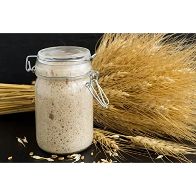 Image of Certified Organic San Francisco Sourdough Bread Starter UKAS Lab Tested by Kombuchaorganic® with printed instruction