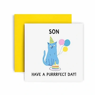 Image of Huxters Birthday Cards for Men The Purrfect Cat Son Card him Funny Fathers Day Fun Happy 14.8cm (Son)