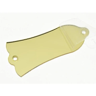 Image of KAISH Gold Mirror 1 Ply Plastic Blank Guitar Truss Rod Cover 2 Hole for Les Paul Made in USA