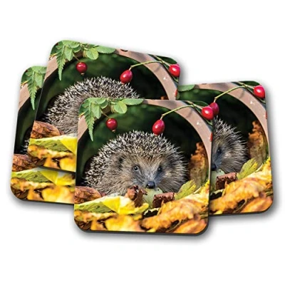 Image of 4 Set Cute Garden Hedgehog Coasters Nature Wildlife Coaster #13045