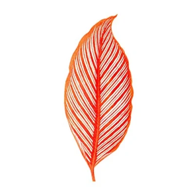 Image of Wee Blue Coo Botanics Red Orange Stripes Art Print Poster Wall Decor