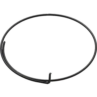 Image of Campagnolo Unisex Wrap Around Freehub Pawl Springs, Silver, 5 Pieces UK