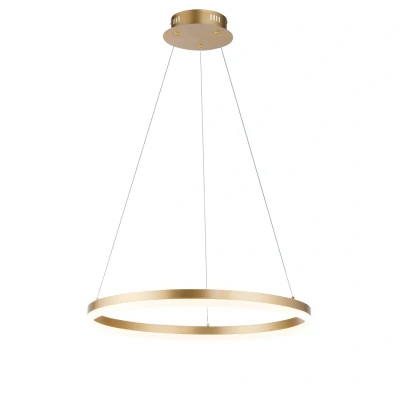 Image of Paul Neuhaus LED hanging light Titus, Ø 60 cm, brass, dimmable