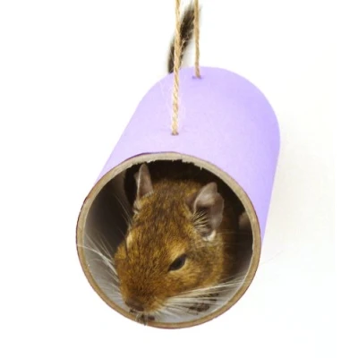 Image of Chewchewbs Totally Degu 4 pack (Purple)