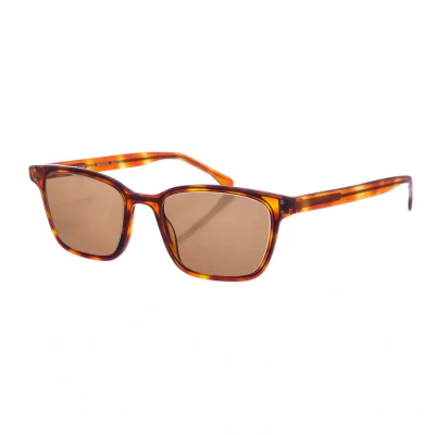 Image of Zen Z475 WoMens square shaped acetate sunglasses Brown One Size