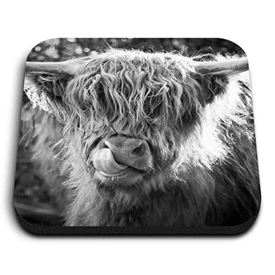 Image of 1 x Square MDF Fridge Magnet Cute Highland Scottish Cow 44782