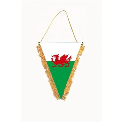 Image of Wales Wall Pennant Welsh Window Flag Banner Football Fan Support World Cup Decor