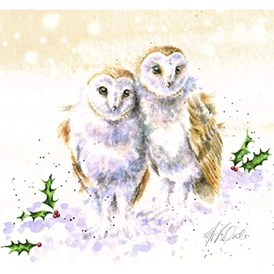 Image of Wrendale Designs Festive Owl Print on White Square Canvas 20 Centimetre Christmas