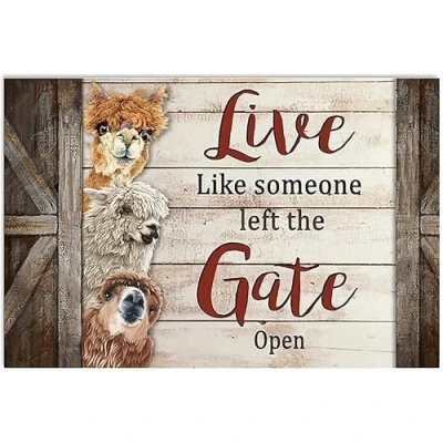 Image of Alpaca Live Like Someone Left The Gate Open Wall Hanging Decor Birthday Housewarming Poster For Home Cafe Bar Garage Metal Sign 8X12 Inches